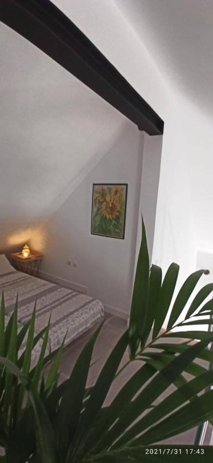 Appartamento La Casita De Juani,leoeser Agaete (Gran Canaria)